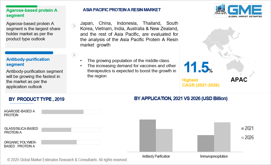 asia pacific protein a resin market